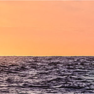 Humpback Whales Breaching Sunset | Chris Burton Photography